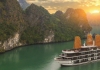 Du thuyền Hạ Long 5 sao LaRegina Royal Cruise 2 ngày 1 đêm Ưu đãi