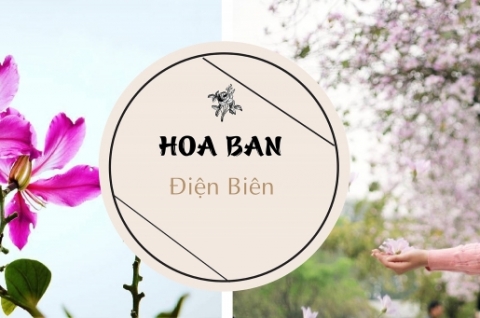 Tour ghép du lịch Sơn La - Điện Biên 3 ngày 2 đêm mùa Hoa ban tháng 3