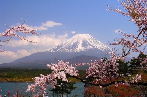 Tour ghép du lịch Nhật Bản Tokyo Phú Sỹ Oska Kyoto 