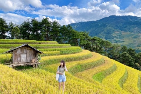 Tour du lịch Mù Cang Chải Tú Lệ Khau Phạ 2 ngày 1 đêm ghép đoàn