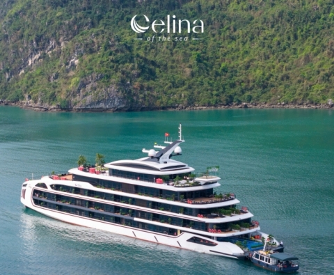 Du Thuyền Celina of the Sea 6 Sao | Tour Vịnh Lan Hạ Nghỉ Đêm 2026