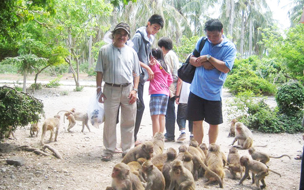 Monkey island_ Cat Ba Tour