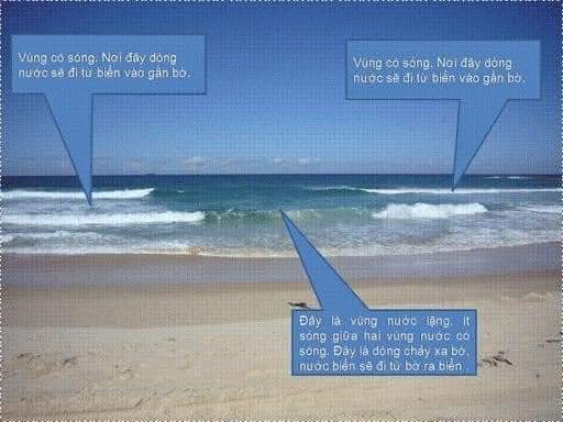 http://yourvacation.vn/dongchayxabo