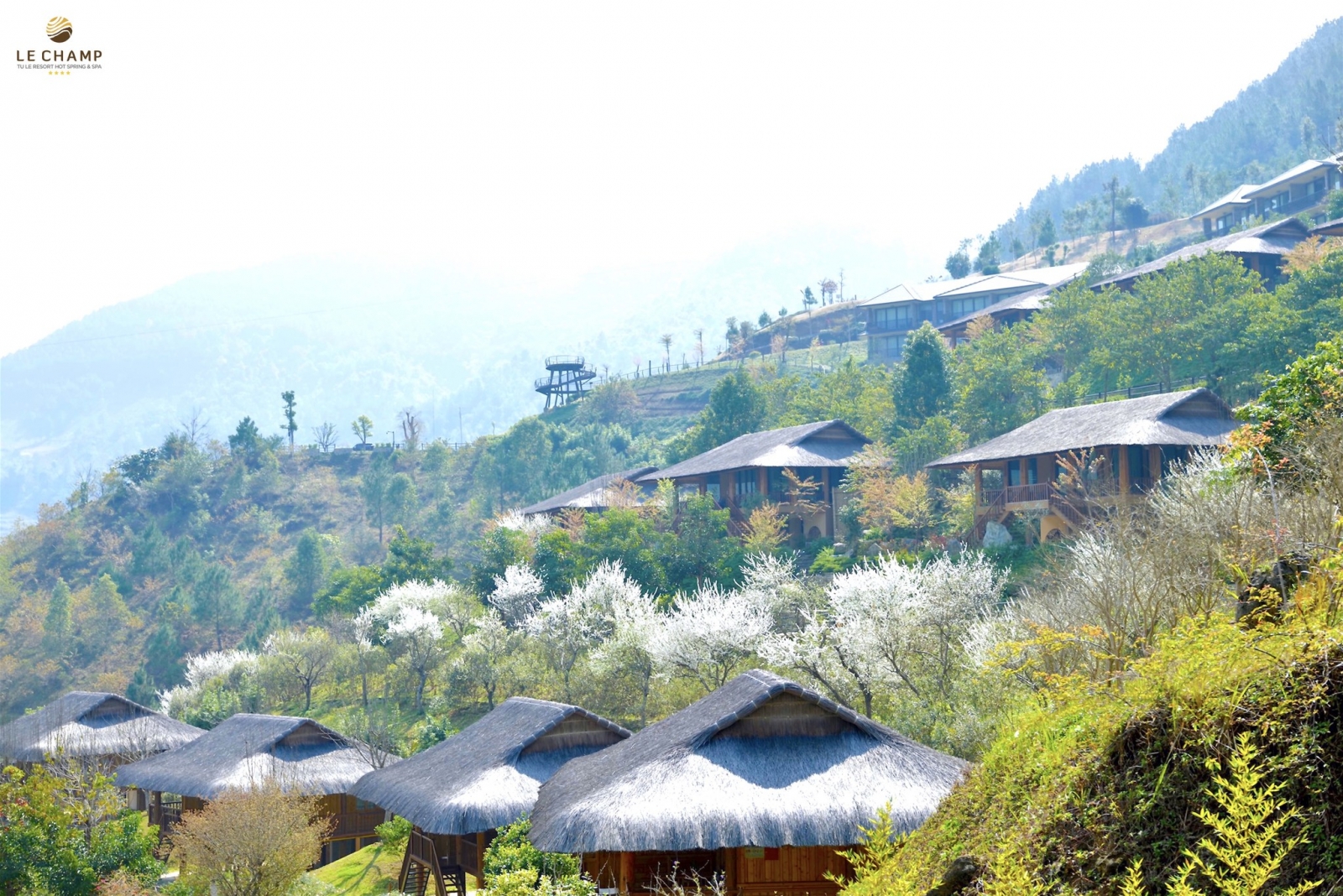 Lechamp Tú Lệ Yên Bái