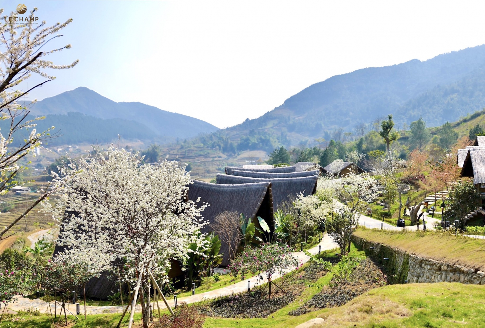 Lechamp Tú Lệ Yên Bái