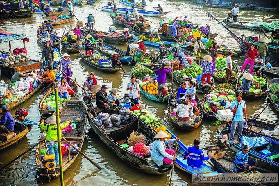 tour tết