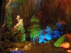 Tours Central - Phong Nha Tours Central - Phong Nha