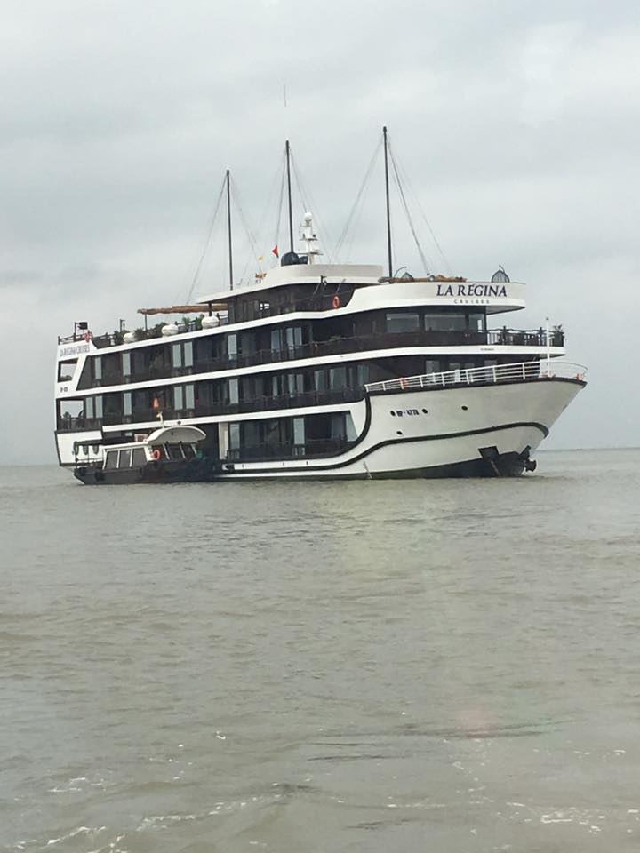 Lare ginacruises royal