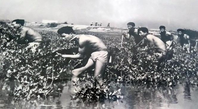 đẶC CÔNG NƯỚC VIỆT NAM