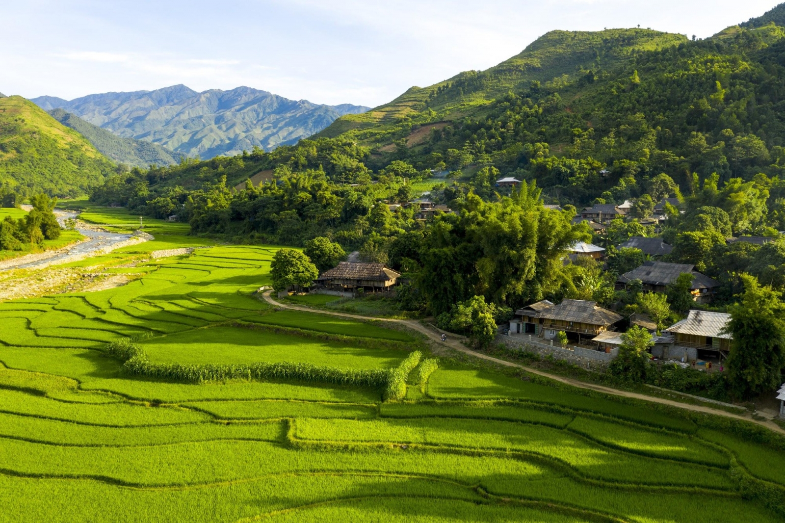 Le Champ Tú Lệ