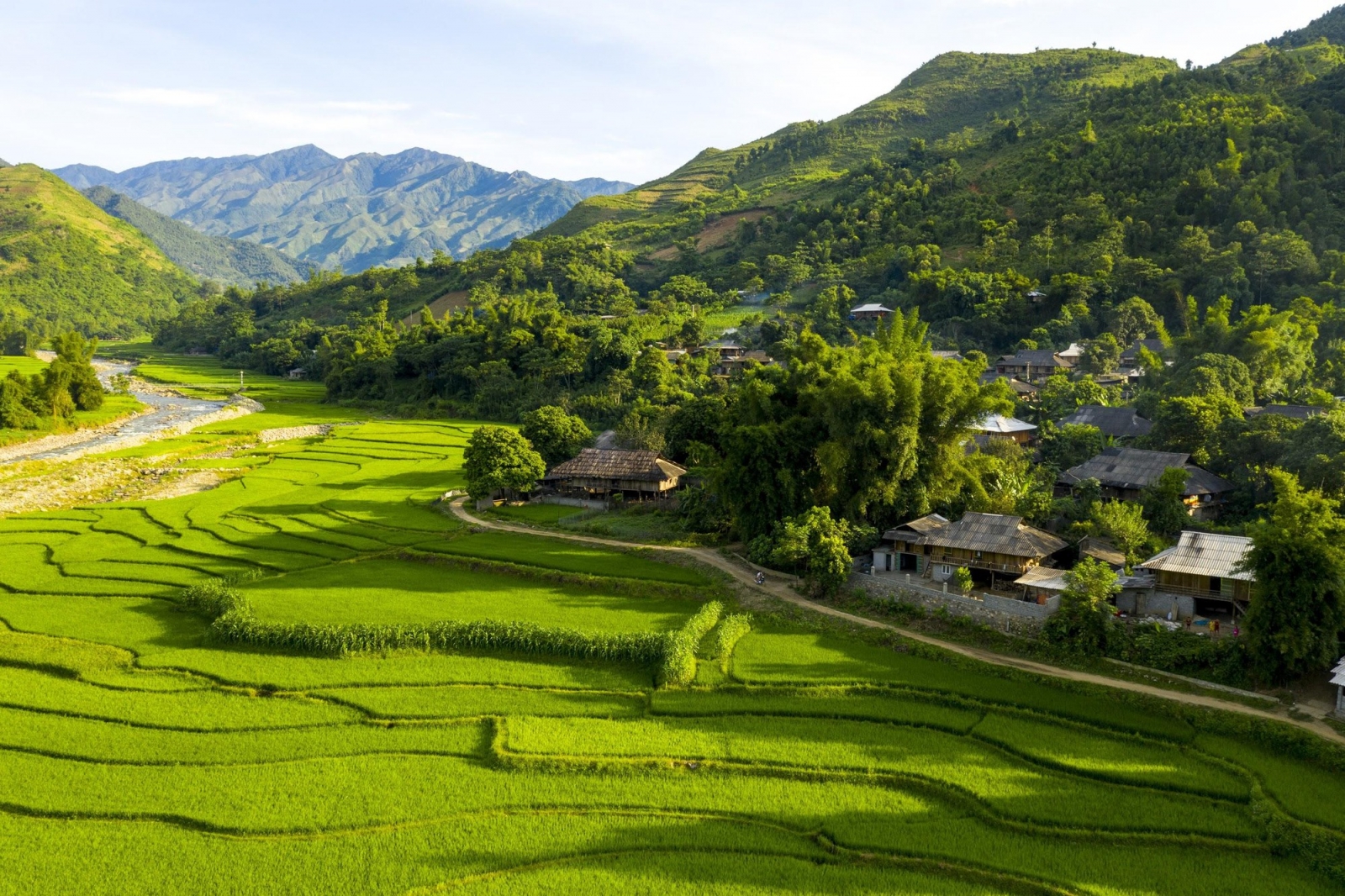 Le Champ Tú Lệ